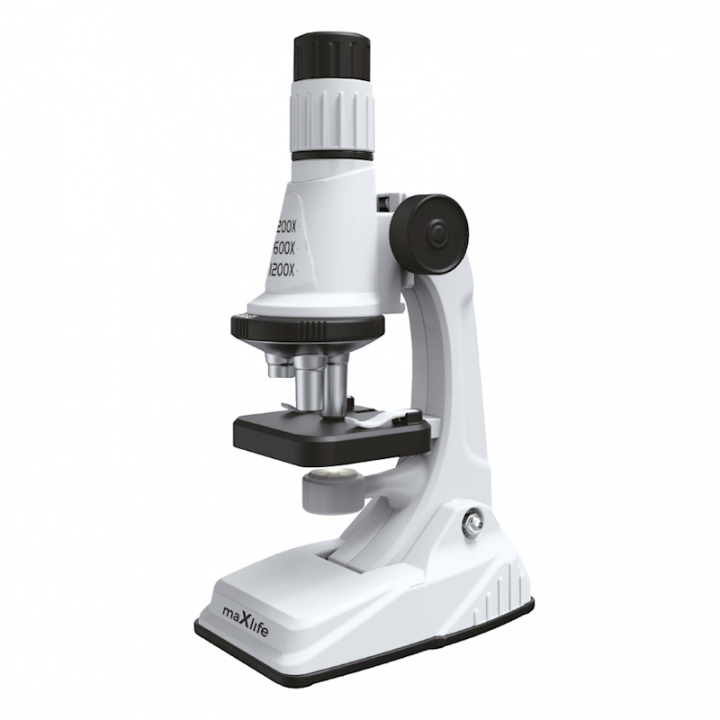 Maxlife microscope MXMS-100 white ryhmässä LELUT, TUOTTEET LAPSILLE JA VAUVOILLE / Leikkikalut, Askartelu &Pelit / Kokeilu ja tee-se-itse @ TP E-commerce Nordic AB (38-97636)