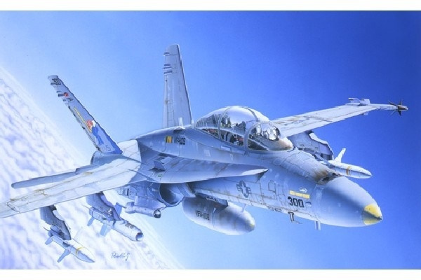 Italeri 1:72 F/A-18C/D WILD WEASEL ryhmässä URHEILU, VAPAA-AIKA JA HARRASTUS / Harrastus / Muovimallit / Lentokoneet/Helikopterit @ TP E-commerce Nordic AB (A07037)