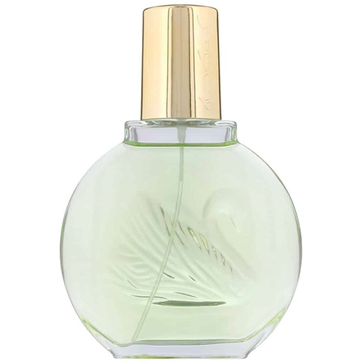 Gloria Vanderbilt Jardin a New York Edp 100ml ryhmässä KAUNEUS JA TERVEYS / Tuoksut & Parfyymit / Parfyymit / Naisten Tuoksut @ TP E-commerce Nordic AB (A10932)