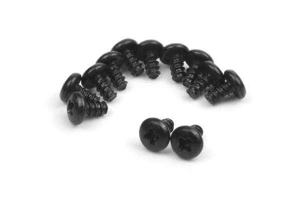 BLACKZON Pan Head Self Tapping Screws 2x4mm ryhmässä LELUT, TUOTTEET LAPSILLE JA VAUVOILLE / Radio-ohjattava / Varaosat ja lisävarusteet / Blackzon @ TP E-commerce Nordic AB (C30828)