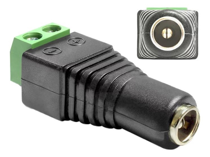 DeLOCK Adapter DC 5.5 x 2.1 mm female > Terminal Block 2 pin ryhmässä KOTI, TALOUS JA PUUTARHA / Sähkö & Valaistus / Sähköasennus / Tarvikkeet @ TP E-commerce Nordic AB (C70627)