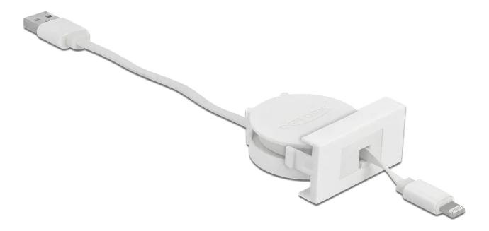 DeLOCK Easy 45 Module USB 2.0 Cable USB Type-A to 8 Pin Lightning ryhmässä ÄLYPUHELIMET JA TABLETIT / Laturit & Kaapelit / Sovittimet @ TP E-commerce Nordic AB (C70659)