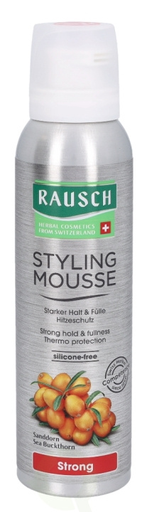 Rausch Styling Mousse 150 ml ryhmässä KAUNEUS JA TERVEYS / Hiukset &Stailaus / Hiusten stailaus / Hiusten muotoiluvaahto @ TP E-commerce Nordic AB (C73697)