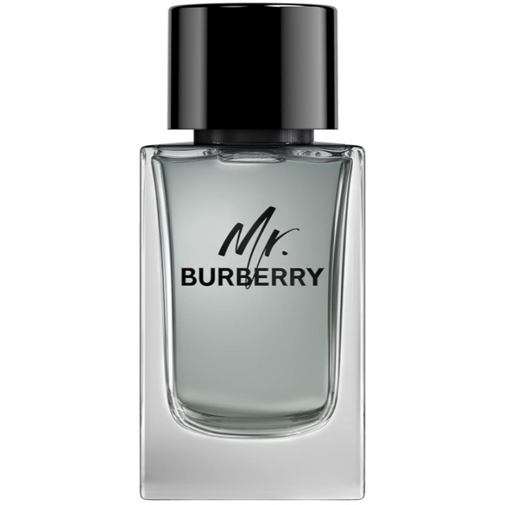 Burberry Mr Burberry Edt 100ml ryhmässä KAUNEUS JA TERVEYS / Tuoksut & Parfyymit / Parfyymit / Miesten Tuoksut @ TP E-commerce Nordic AB (C74760)