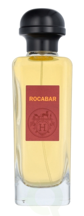 Hermes Rocabar Edt Spray 100 ml ryhmässä KAUNEUS JA TERVEYS / Tuoksut & Parfyymit / Parfyymit / Miesten Tuoksut @ TP E-commerce Nordic AB (C77025)