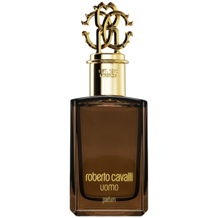 Roberto Cavalli Uomo Edp 100ml ryhmässä KAUNEUS JA TERVEYS / Tuoksut & Parfyymit / Parfyymit / Miesten Tuoksut @ TP E-commerce Nordic AB (C78983)