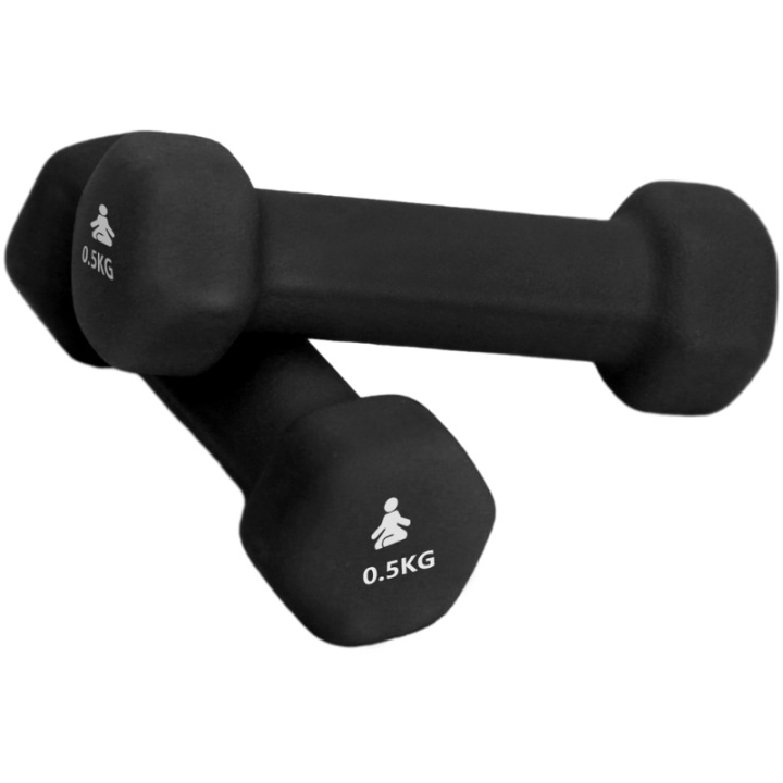 Fitpaddy Premium Dumbbells 2 x 0.5 kg ryhmässä URHEILU, VAPAA-AIKA JA HARRASTUS / Kuntoilutarvikkeet / Muut @ TP E-commerce Nordic AB (C82840)