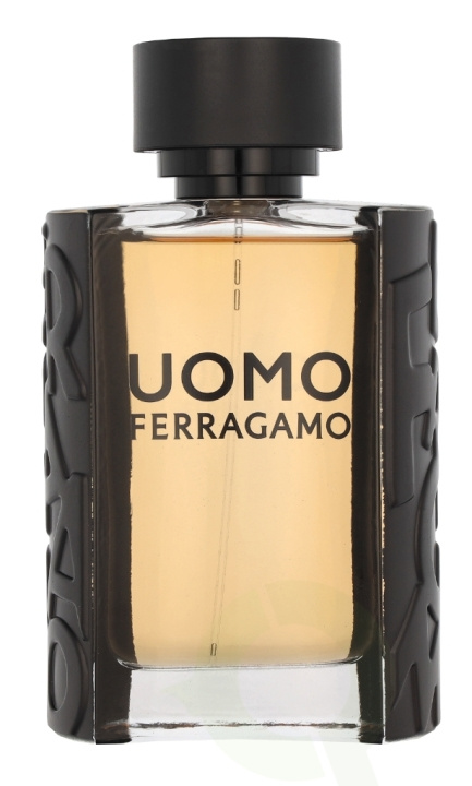 Ferragamo S. Ferragamo Uomo Pour Homme Edt Spray 100 ml ryhmässä KAUNEUS JA TERVEYS / Tuoksut & Parfyymit / Parfyymit / Miesten Tuoksut @ TP E-commerce Nordic AB (C82920)