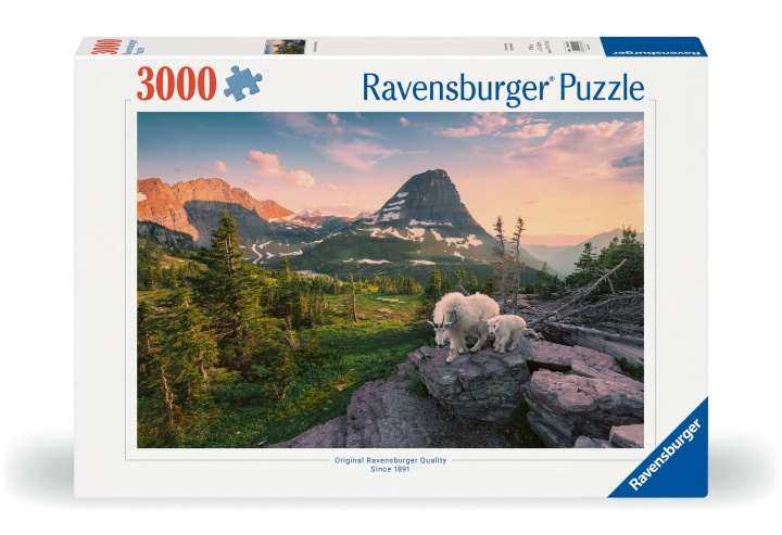 Ravensburger Puzzle Foto Kaupunkimaisema 3000p (12000809) ryhmässä URHEILU, VAPAA-AIKA JA HARRASTUS / Harrastus / Palapeli @ TP E-commerce Nordic AB (C86133)