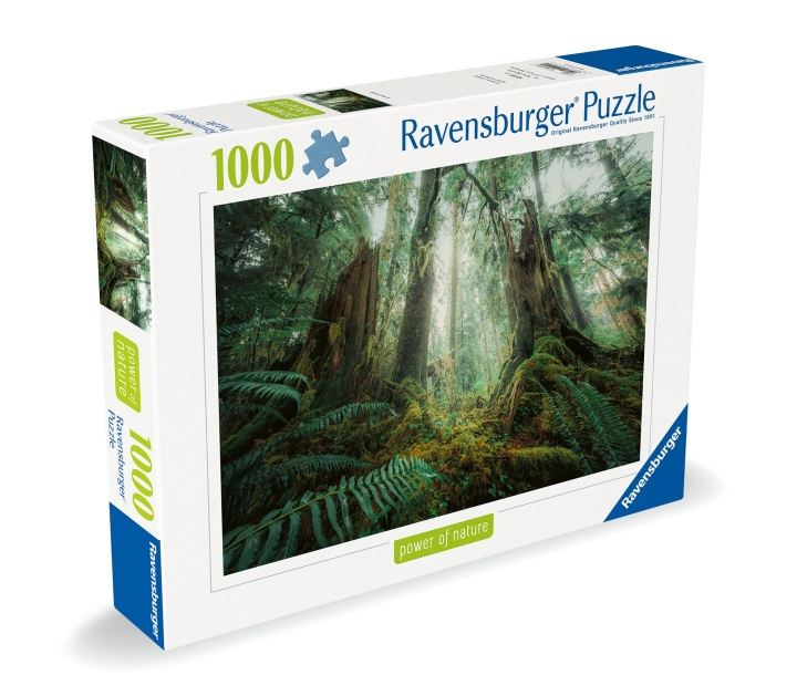 Ravensburger Puzzle Woods 1000p (12000292) ryhmässä LELUT, TUOTTEET LAPSILLE JA VAUVOILLE / Leikkikalut, Askartelu &Pelit / Palapelit @ TP E-commerce Nordic AB (C86435)