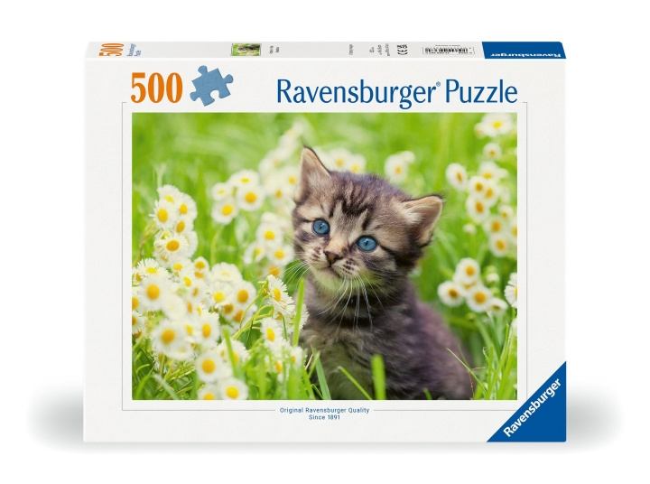 Ravensburger Puzzle Kitten In The Meadow 500p (12000367) ryhmässä LELUT, TUOTTEET LAPSILLE JA VAUVOILLE / Leikkikalut, Askartelu &Pelit / Palapelit @ TP E-commerce Nordic AB (C86450)