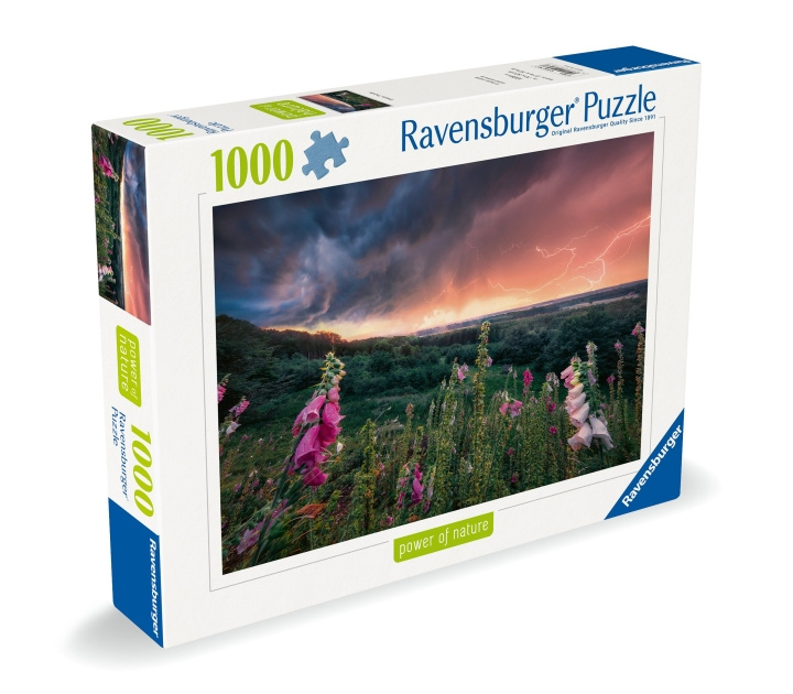 Ravensburger Puzzle Dreamy Thunder 1000p (12000793) ryhmässä LELUT, TUOTTEET LAPSILLE JA VAUVOILLE / Leikkikalut, Askartelu &Pelit / Palapelit @ TP E-commerce Nordic AB (C86531)