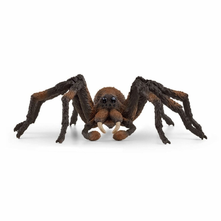 Schleich Harry Potter - Aragog (13987) ryhmässä LELUT, TUOTTEET LAPSILLE JA VAUVOILLE / Leikkikalut, Askartelu &Pelit / Figuurit, miniatyyrit ja tarvikkeet @ TP E-commerce Nordic AB (C87595)