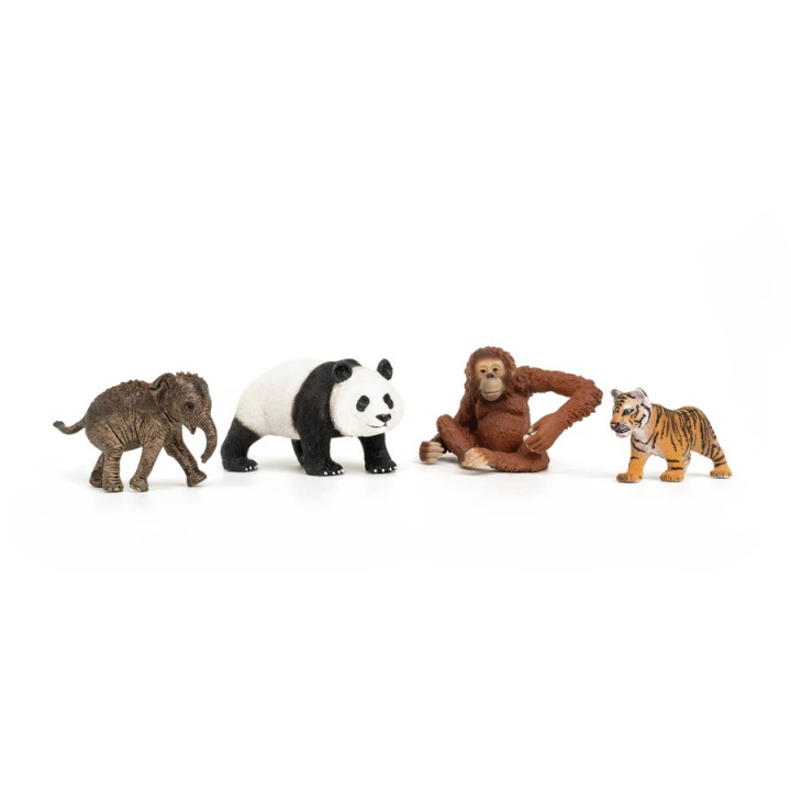 Schleich Wild Life - Aasia aloitussarja (42736) ryhmässä LELUT, TUOTTEET LAPSILLE JA VAUVOILLE / Leikkikalut, Askartelu &Pelit / Lelusarja @ TP E-commerce Nordic AB (C87908)