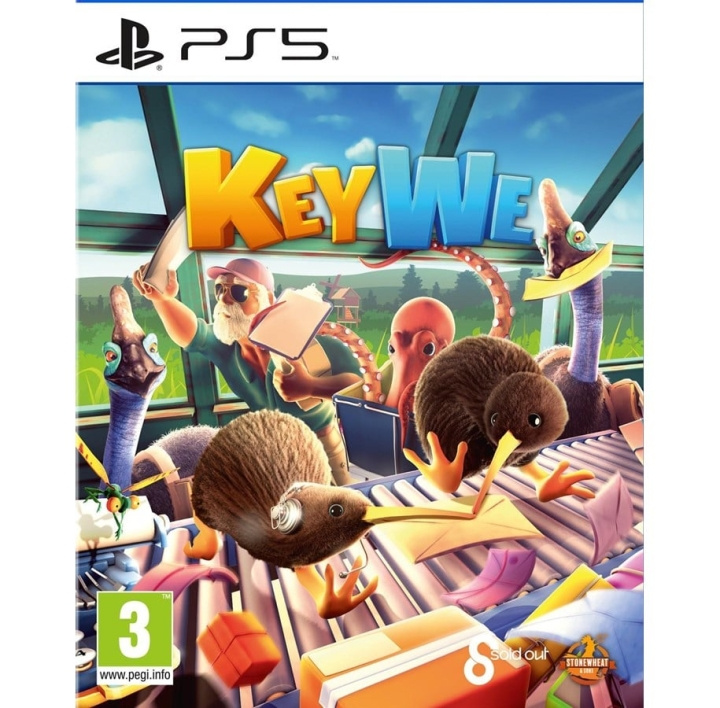 Fireshine Games KeyWe ryhmässä KODINELEKTRONIIKKA / Pelikonsolit & Tarvikkeet / Sony PlayStation 5 / Peli @ TP E-commerce Nordic AB (C88404)