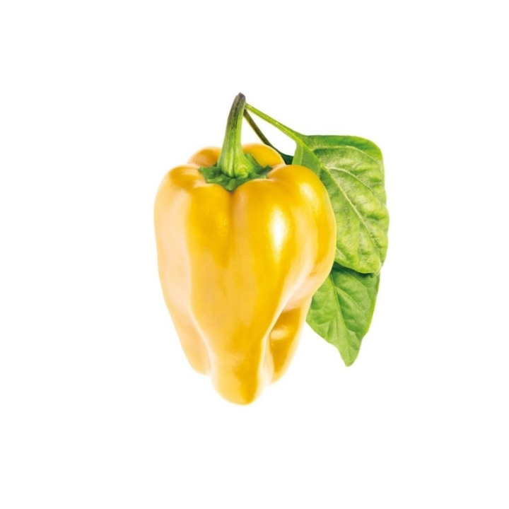 Click & Grow - Smart Garden 3-pack - keltainen paprika (SGR53X3) ryhmässä URHEILU, VAPAA-AIKA JA HARRASTUS / Hauskat tavarat / Älylaitteet @ TP E-commerce Nordic AB (C93769)