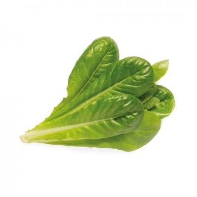 Click & Grow- Smart Garden 3-pack - Romaine-salaatti (SGR50X3) ryhmässä URHEILU, VAPAA-AIKA JA HARRASTUS / Hauskat tavarat / Älylaitteet @ TP E-commerce Nordic AB (C93818)