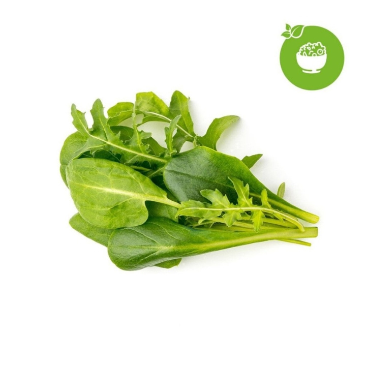 Click & Grow - Smart Garden 9-pack Green Sallad Mix - Täydennyspakkaukset ryhmässä URHEILU, VAPAA-AIKA JA HARRASTUS / Hauskat tavarat / Älylaitteet @ TP E-commerce Nordic AB (C94081)