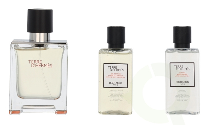 Hermes Terre D\'Hermes Giftset 130 ml Edt Spray 50ml/Shower Gel 40ml/Body Lotion 40ml ryhmässä KAUNEUS JA TERVEYS / Lahjapakkaukset / Miesten lahjapakkaukset @ TP E-commerce Nordic AB (C95005)