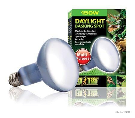 Exoterra Daylight Basking Spot 150W R30 E27 vihreä - (220.2740) ryhmässä KOTI, TALOUS JA PUUTARHA / Lemmikkitarvikkeet / Tarvikkeet terraarioihin @ TP E-commerce Nordic AB (D03861)