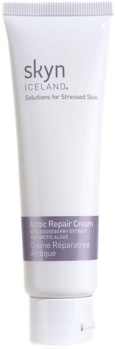 SKYN ICELAND Arctic Repair Cream 59 ml ryhmässä KAUNEUS JA TERVEYS / Ihonhoito / Kasvot / Päivävoide @ TP E-commerce Nordic AB (D04242)