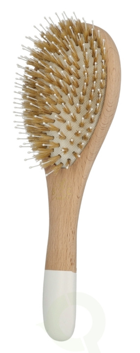 Bachca Paris Detangle & Smooth Hair Brush 1 piece Large ryhmässä KAUNEUS JA TERVEYS / Hiukset &Stailaus / Hiusharjat @ TP E-commerce Nordic AB (D09313)