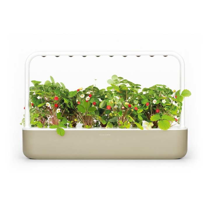 Click & Grow Smart Garden 9 aloituspakkaus (Väri: Mellow Beige) ( SG9S7UNI) ryhmässä URHEILU, VAPAA-AIKA JA HARRASTUS / Hauskat tavarat / Älylaitteet @ TP E-commerce Nordic AB (D11210)