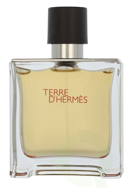 Hermes Terre D\'Hermes Edp Spray 75 ml ryhmässä KAUNEUS JA TERVEYS / Tuoksut & Parfyymit / Parfyymit / Miesten Tuoksut @ TP E-commerce Nordic AB (D11740)